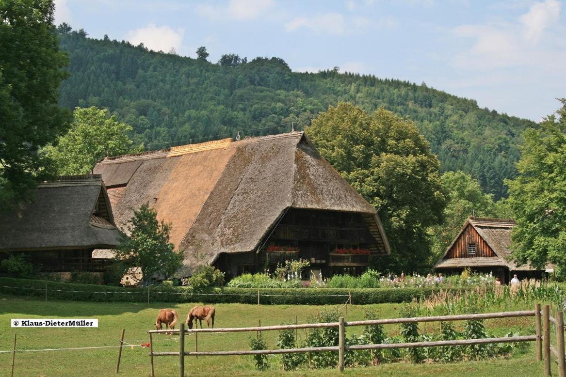 הוילה טריברג Haus Am Waldrand מראה חיצוני תמונה