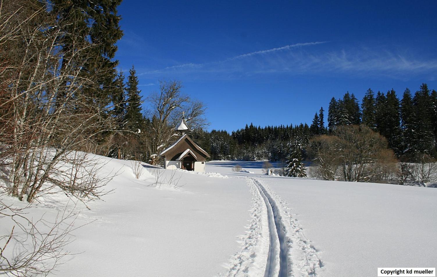 הוילה טריברג Haus Am Waldrand מראה חיצוני תמונה