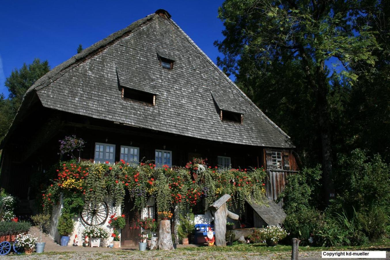 הוילה טריברג Haus Am Waldrand מראה חיצוני תמונה