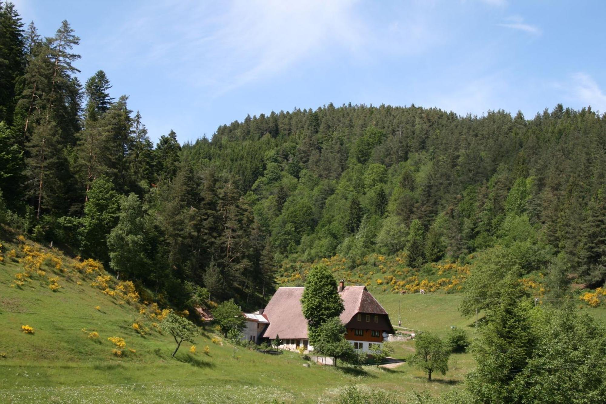 הוילה טריברג Haus Am Waldrand מראה חיצוני תמונה